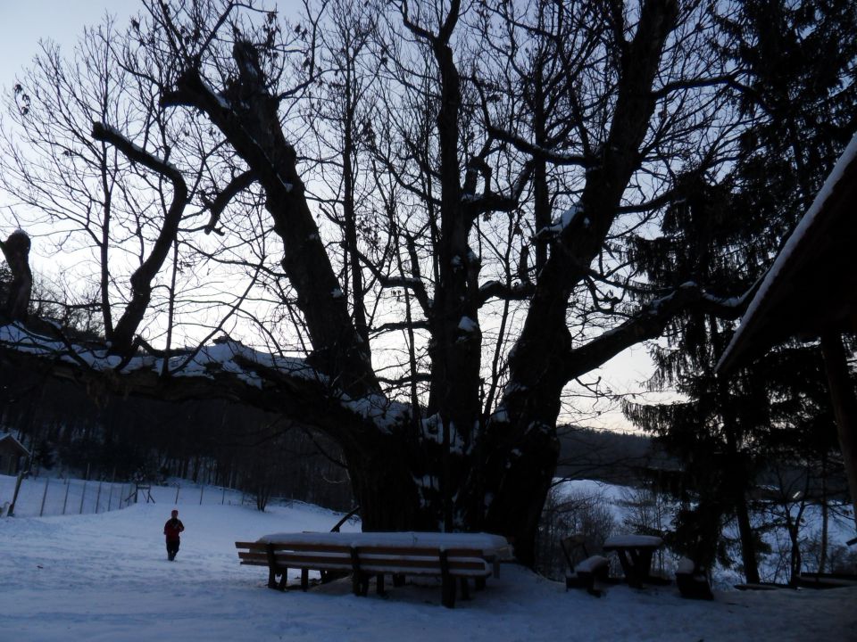 12. 12. 2012 - foto povečava