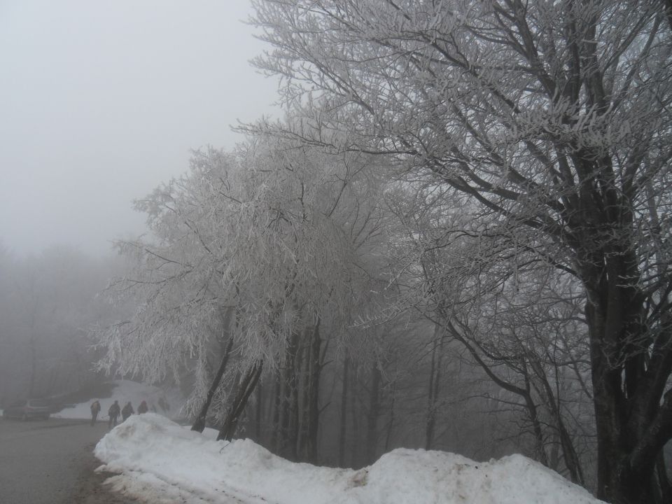 18. 12. 2012 - foto povečava