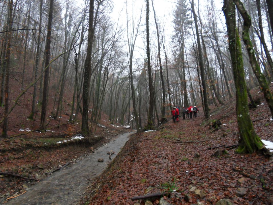 19. 11. 2012b - foto povečava