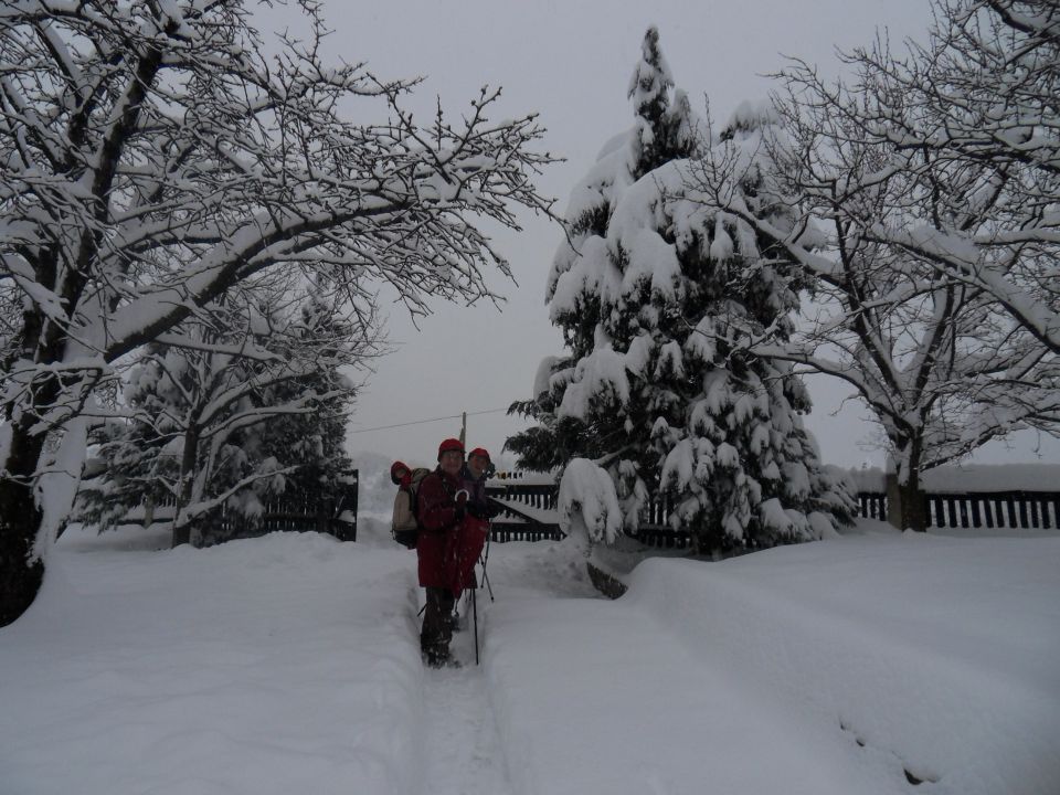 14. 1. 2013 - foto povečava