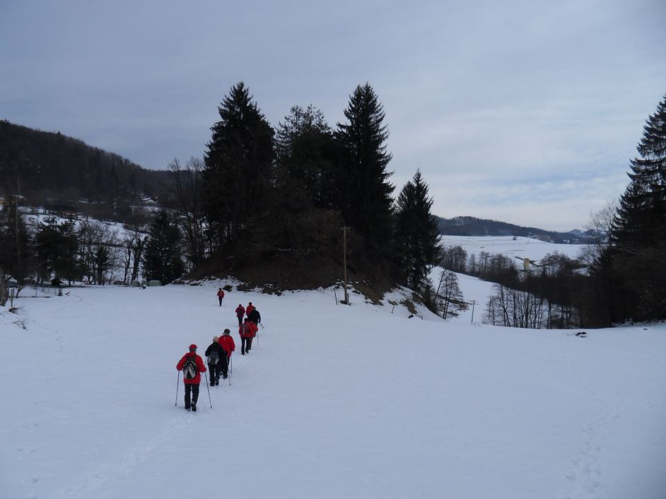 30. 1. 2013 - foto povečava