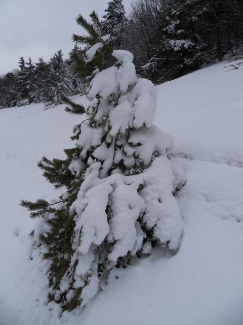 4. 2. 2013 - foto