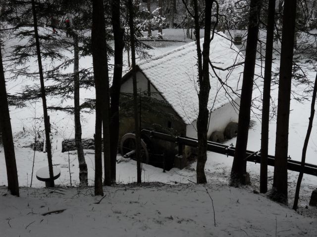 11. 2. 2013 - foto