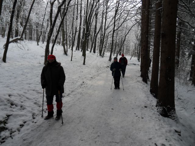 11. 2. 2013 - foto
