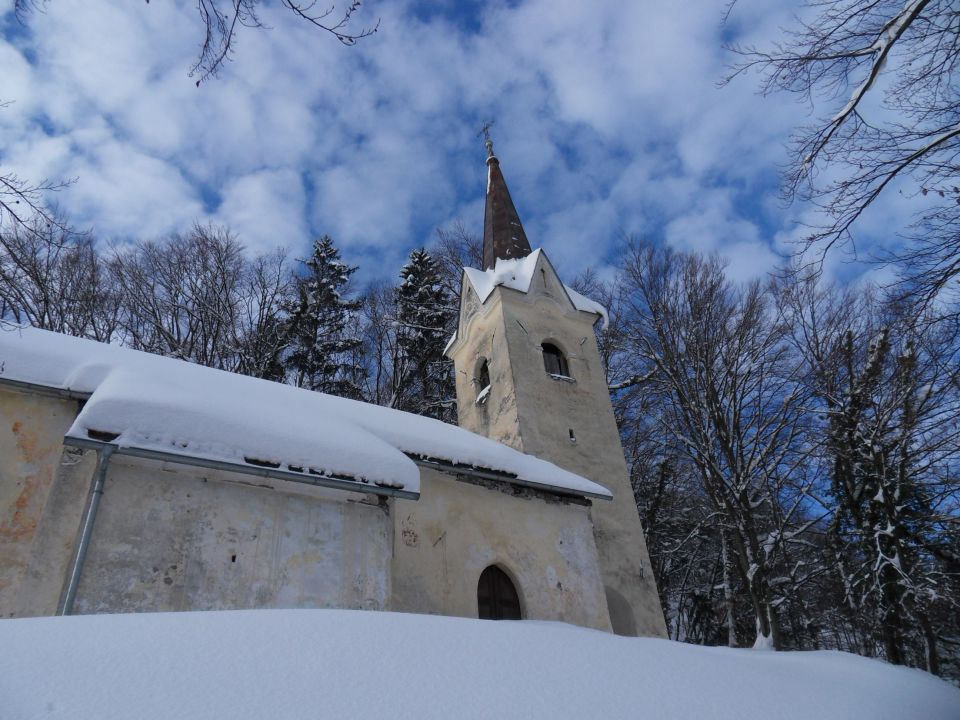 25. 2. 2013 - foto povečava