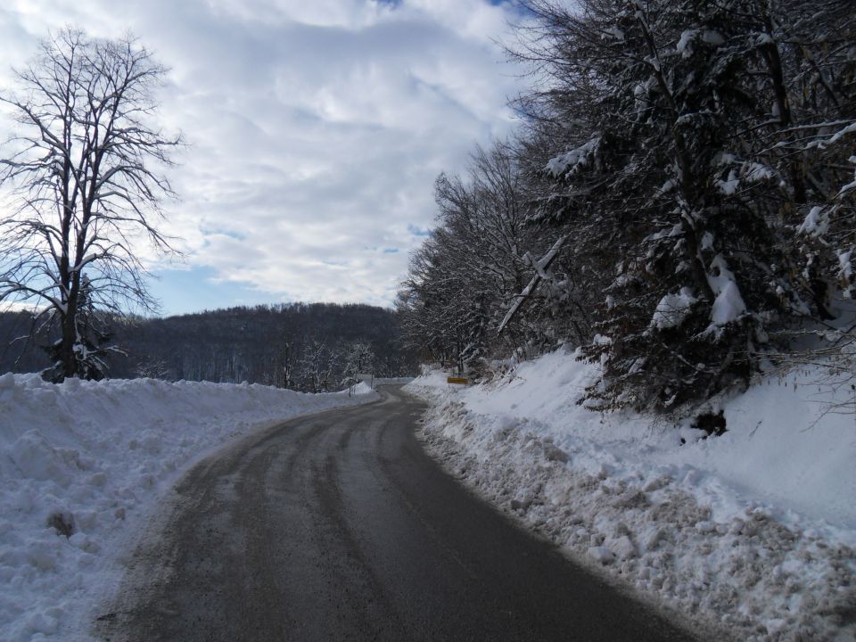 25. 2. 2013 - foto povečava