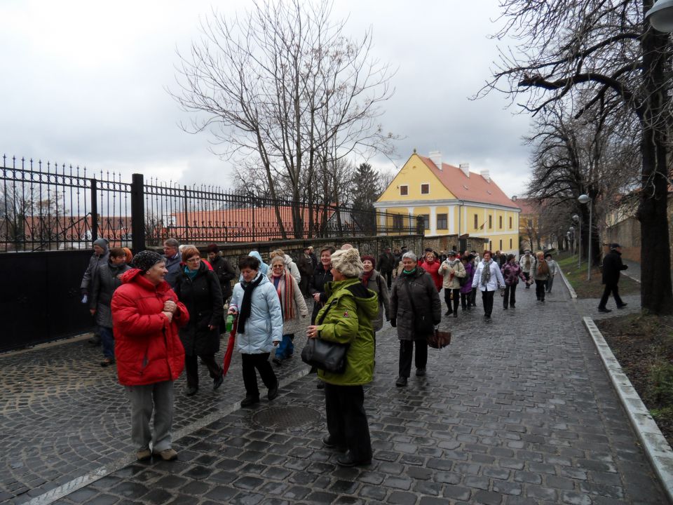 26. 2. 2013 - foto povečava