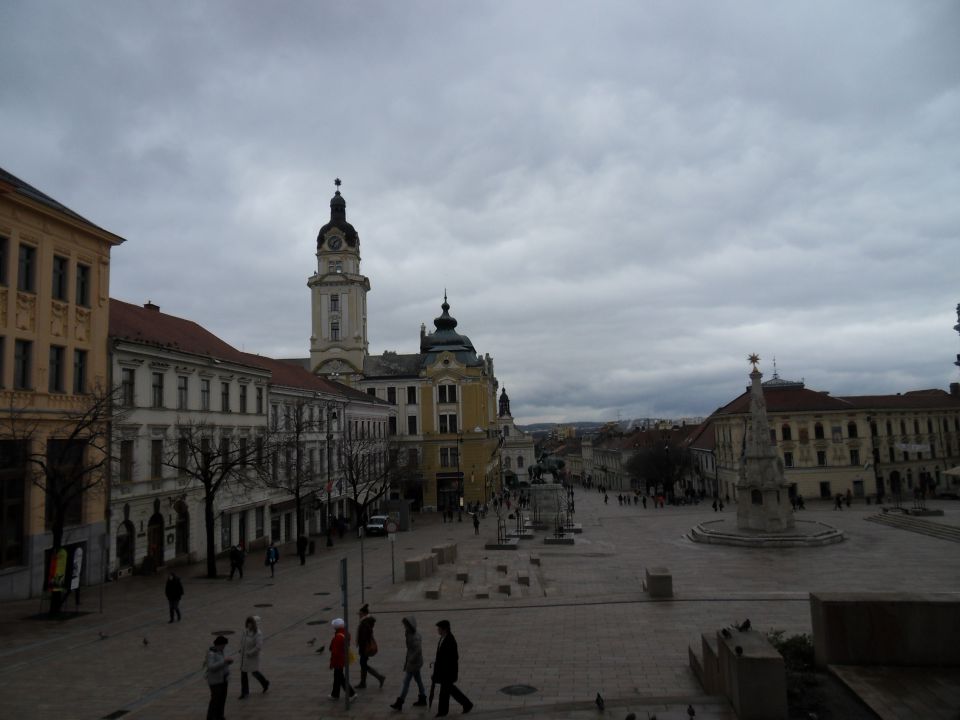 26. 2. 2013 - foto povečava