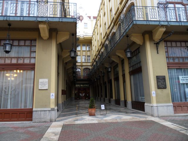 26. 2. 2013 - foto