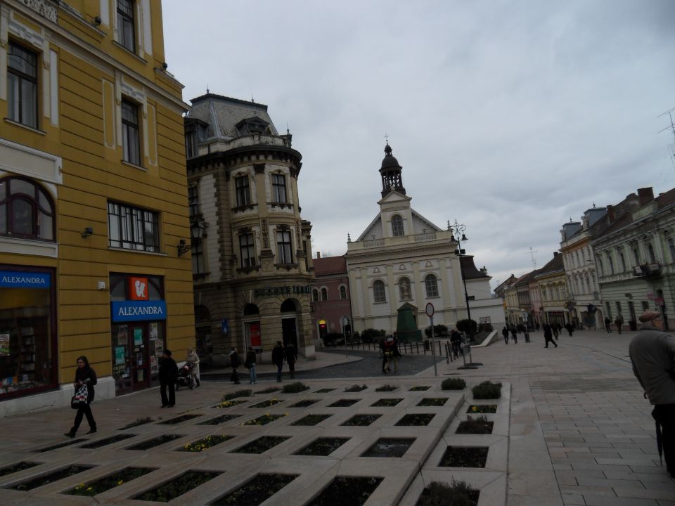 26. 2. 2013 - foto povečava