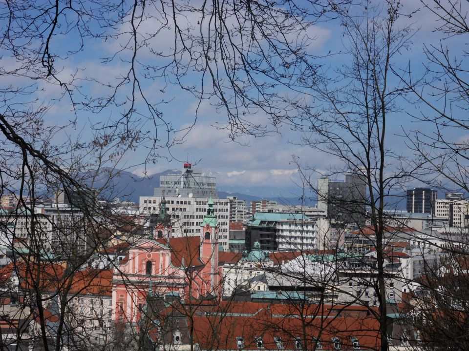 19. 3. 2013 - foto povečava