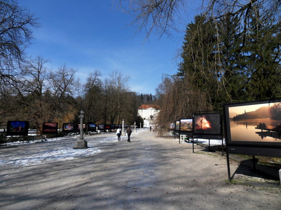 19. 3. 2013a - foto povečava