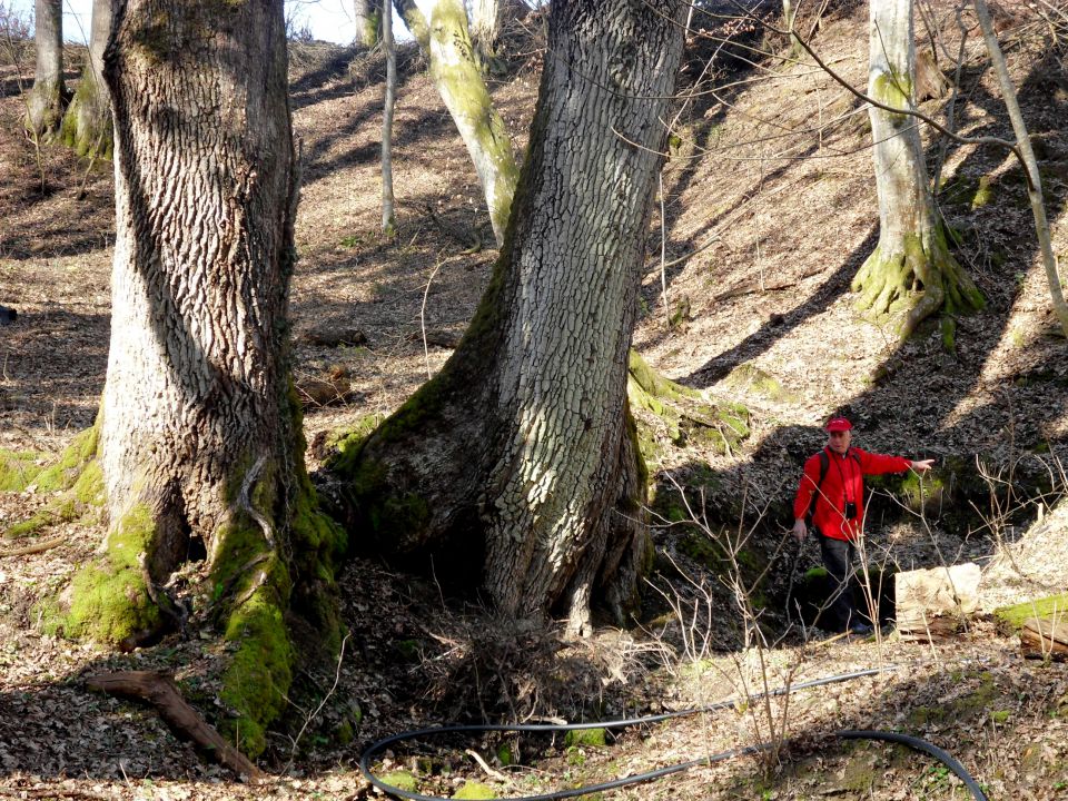 20. 3. 2013 - foto povečava