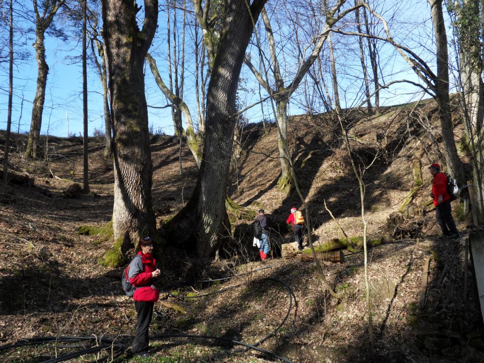 20. 3. 2013 - foto povečava