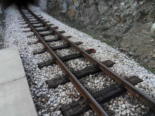 19. 4. 2013 - foto