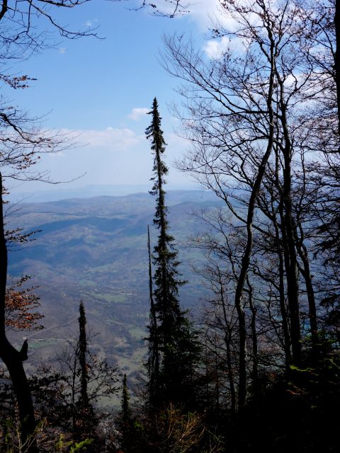20. 4. 2013 - foto