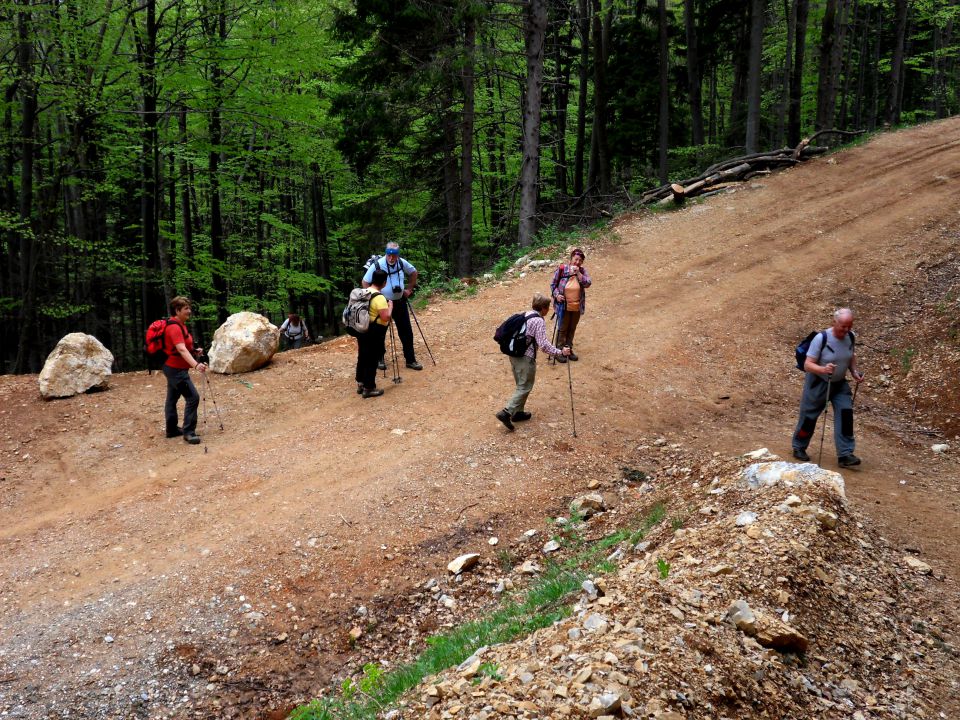 29. 4. 2013 - foto povečava