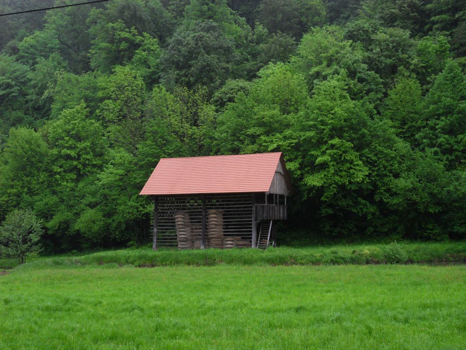 6. 5. 2013 - foto povečava