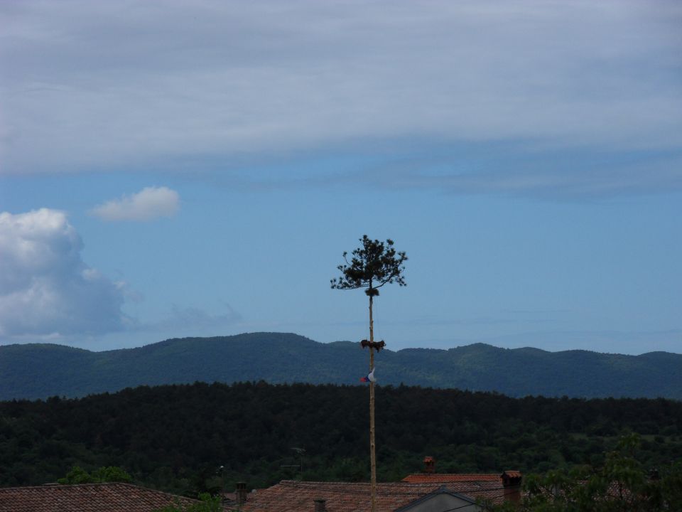 20. 5. 2013 - foto povečava