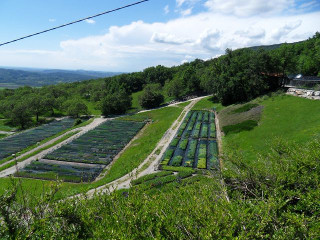 20. 5. 2013 - foto