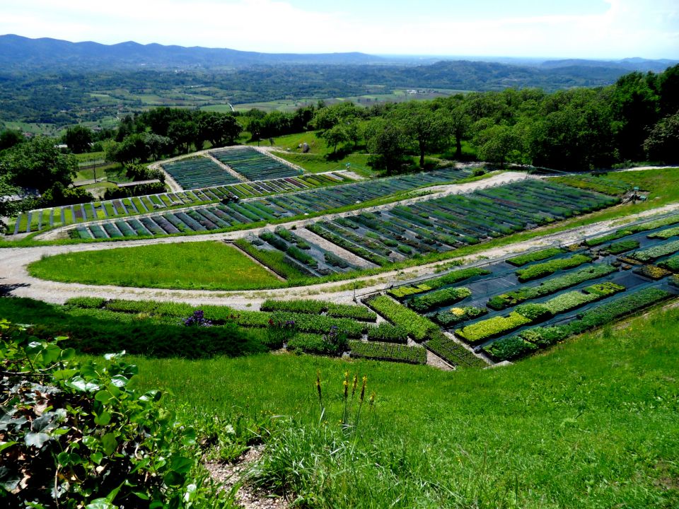 20. 5. 2013 - foto povečava