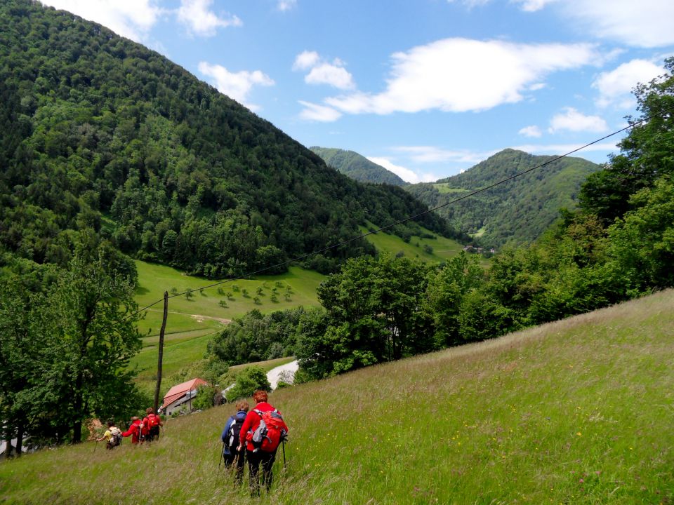 27. 5. 2013 - foto povečava