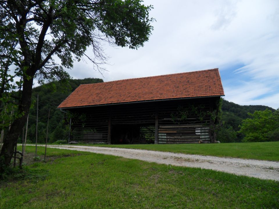 27. 5. 2013 - foto povečava