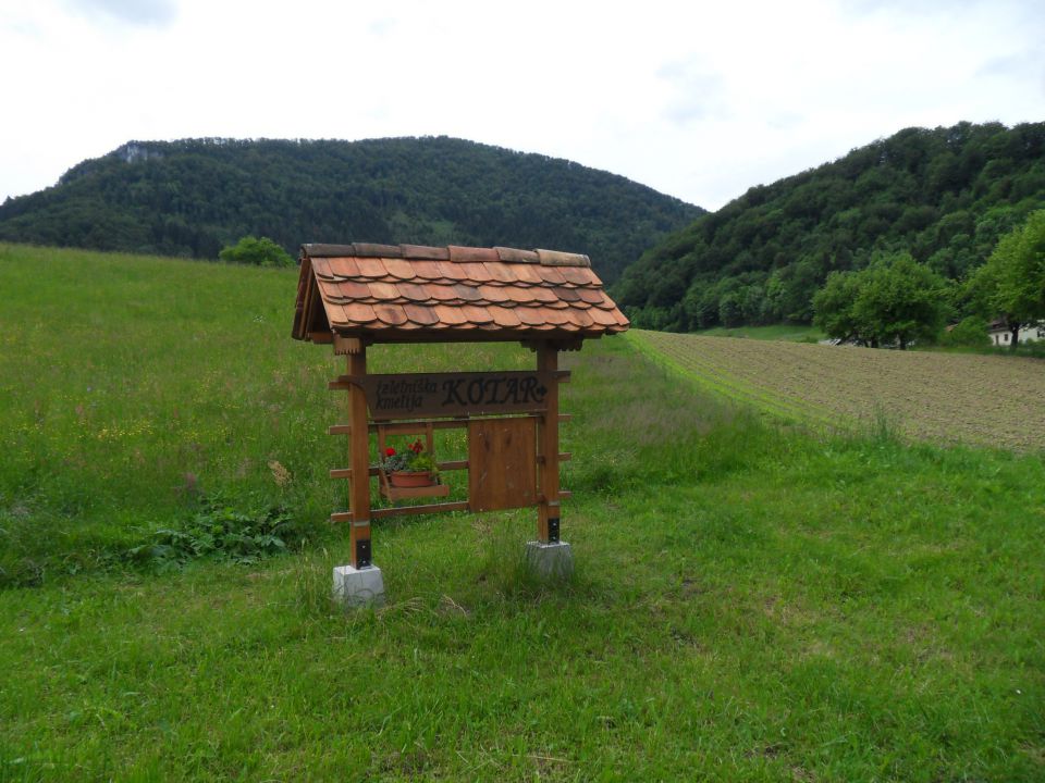 27. 5. 2013 - foto povečava