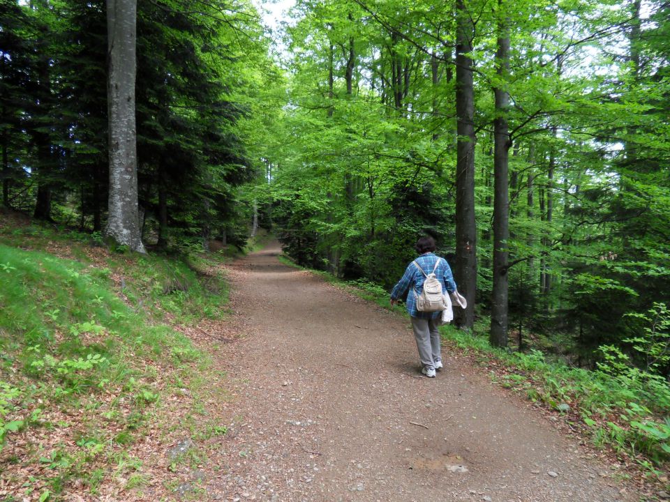 5. 6. 2013 - foto povečava