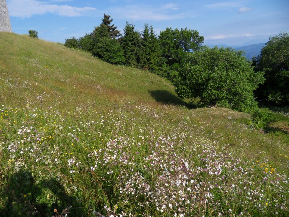 6. 7. 2013 - foto povečava