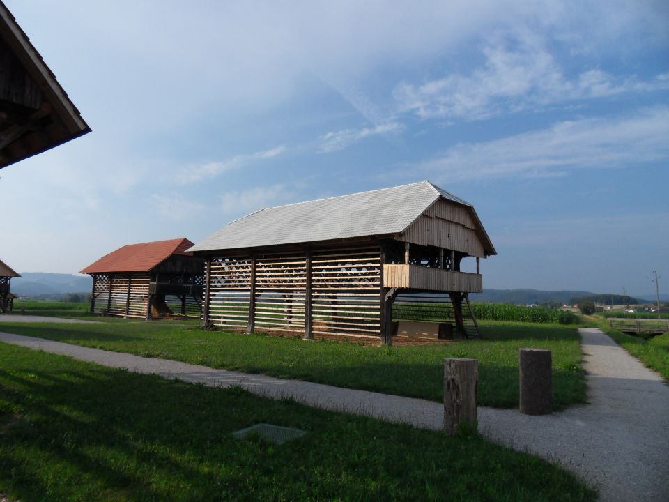 19. 7. 2013 - foto povečava