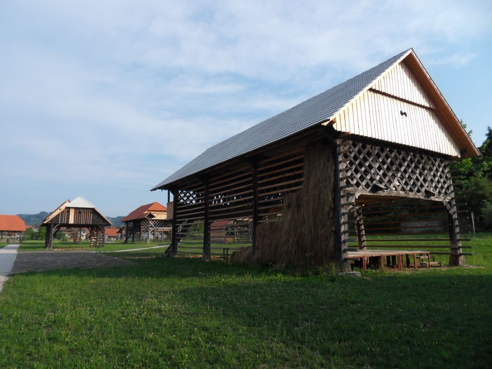 19. 7. 2013 - foto povečava