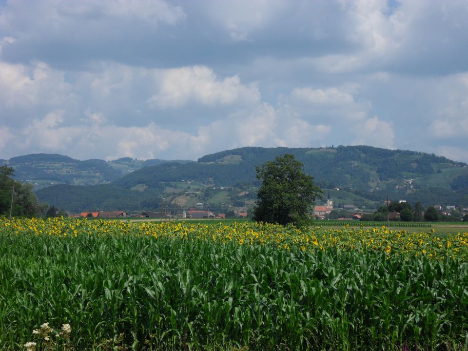 19. 7. 2013 - foto povečava