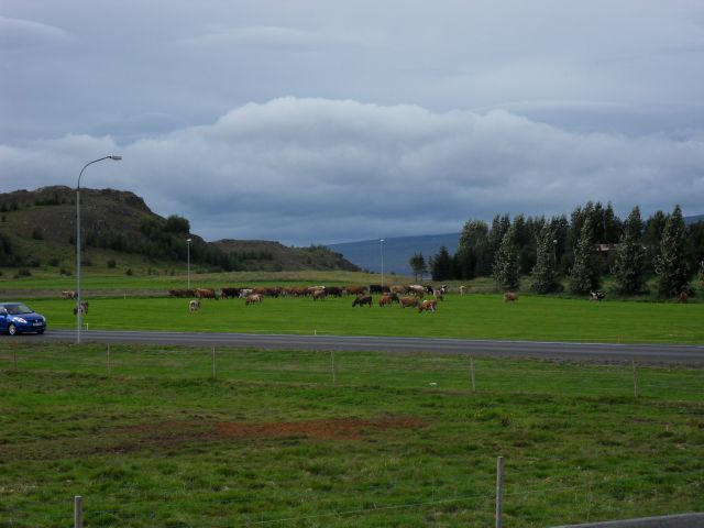 15. 8. 2013 - foto