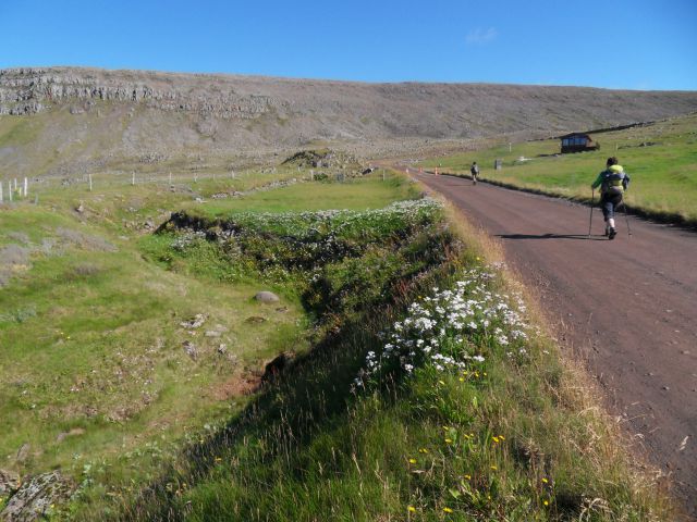 20. 8. 2013 - foto