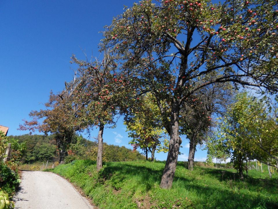 13. 10. 2013 - foto povečava