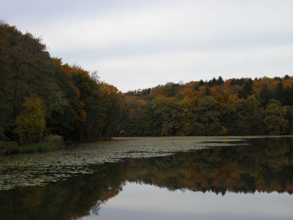 21. 10. 2013 - foto povečava