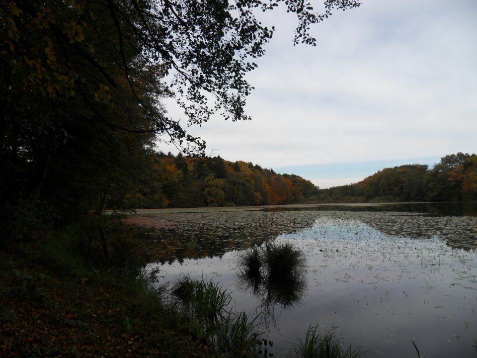 21. 10. 2013 - foto povečava