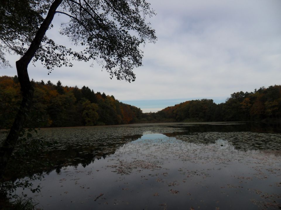 21. 10. 2013 - foto povečava