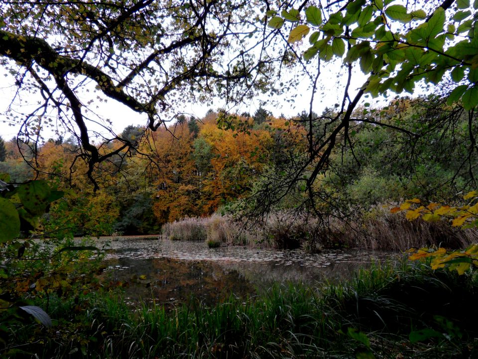 21. 10. 2013 - foto povečava