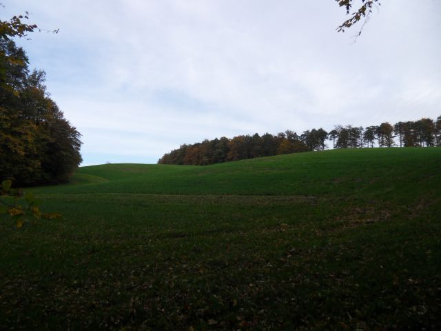 21. 10. 2013 - foto