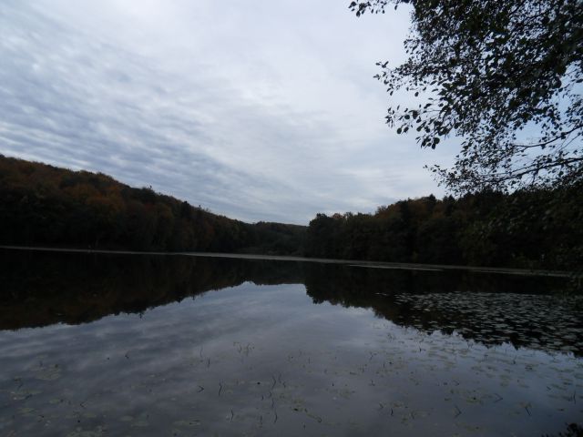 21. 10. 2013 - foto