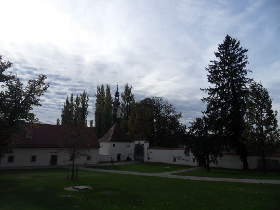 21. 10. 2013 - foto povečava