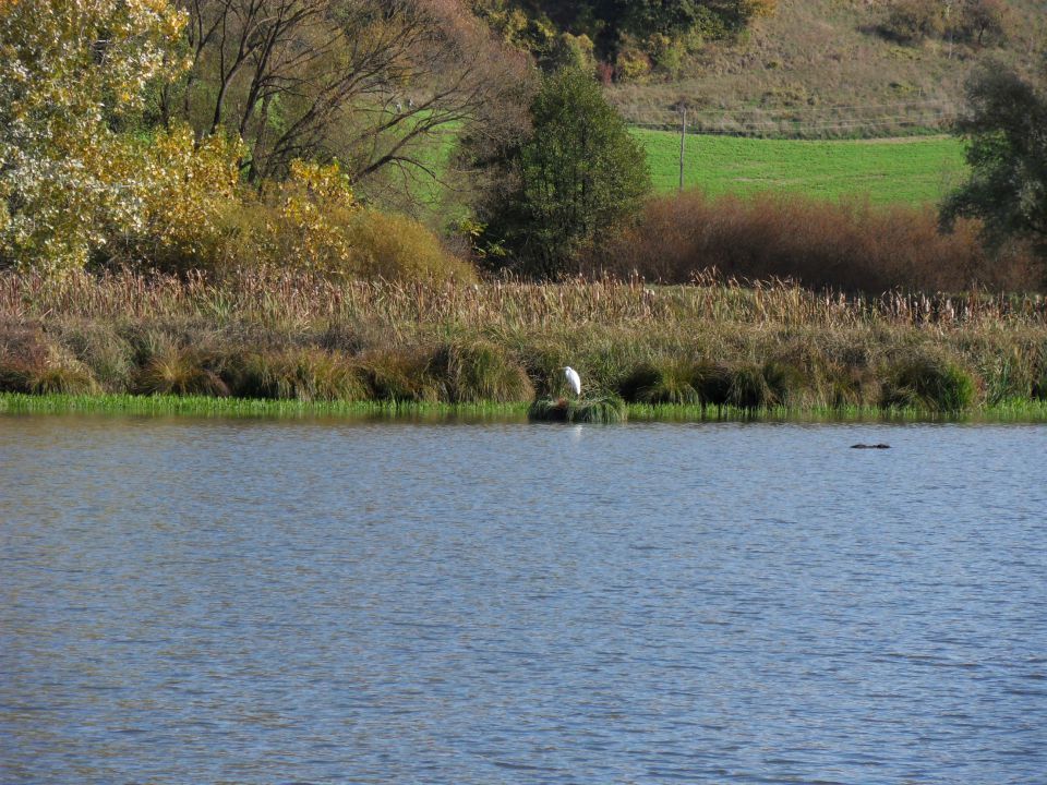 21. 10. 2013 - foto povečava