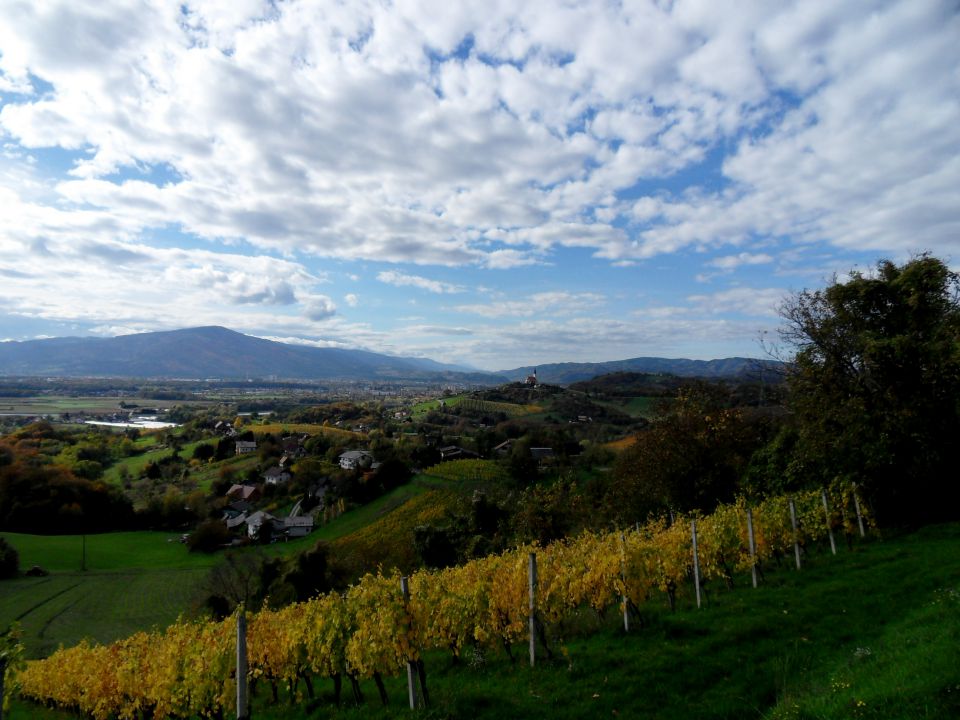 21. 10. 2013 - foto povečava