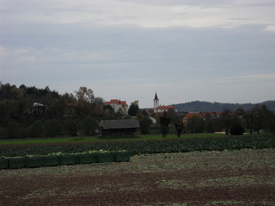 24. 10. 2013 - foto povečava