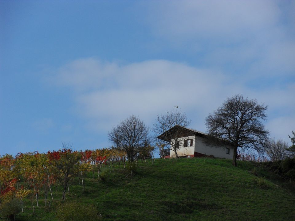 31. 10. 2013 - foto povečava