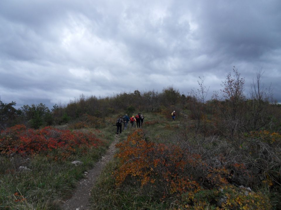 4. 11. 2013 - foto povečava