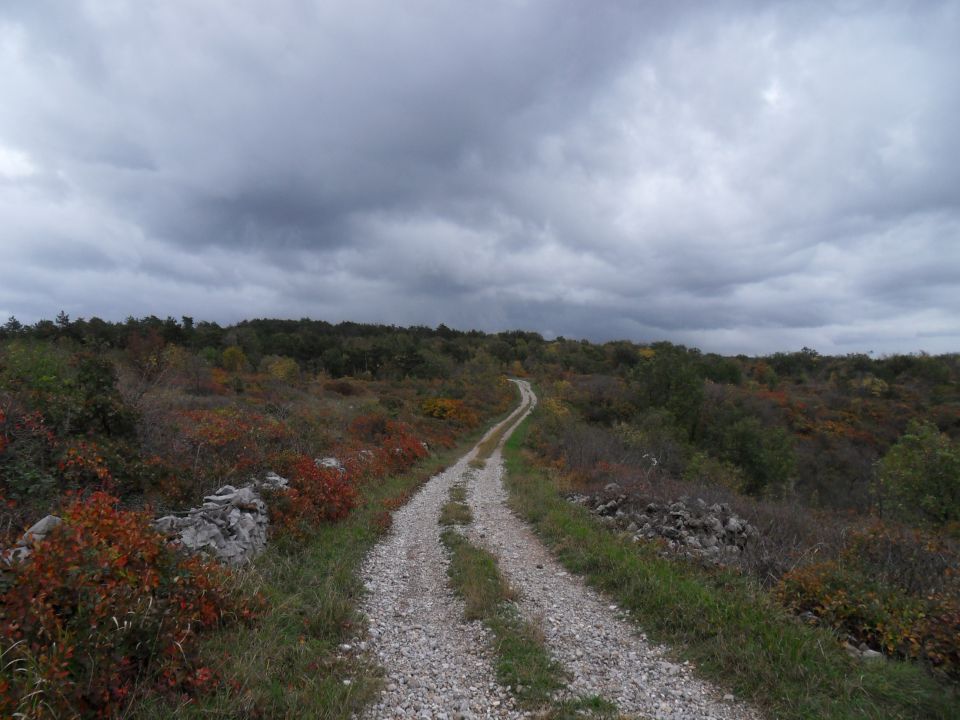 4. 11. 2013 - foto povečava