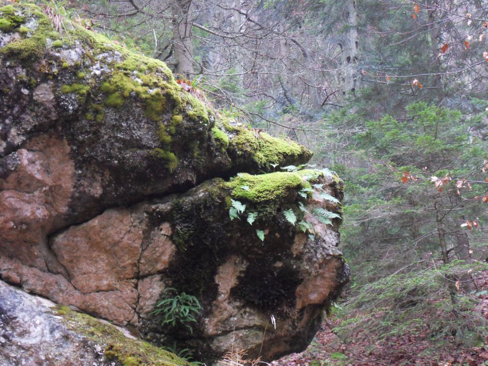 18. 11. 2013 - foto povečava